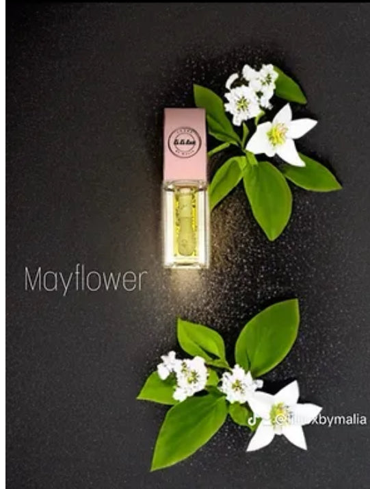Pink Tops (Lip Oils) - LiLiLux-ByMalia
